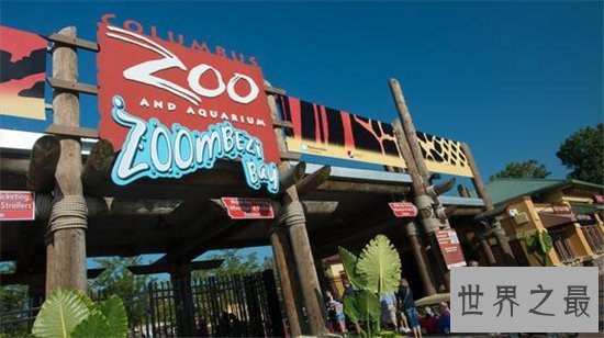 世界最大的动物园排名,盘点世界上那些最值得去的动物园!