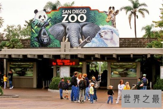 世界最大的动物园排名,盘点世界上那些最值得去的动物园!