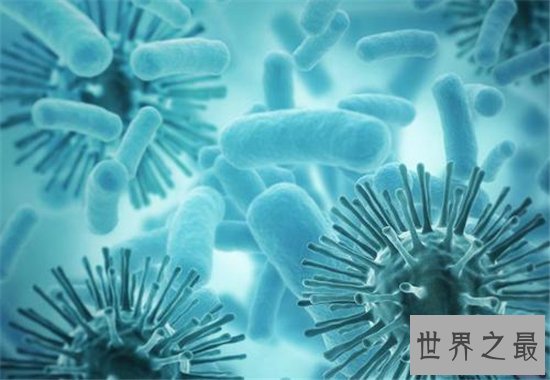 世界最厉害的电脑病毒排行,爱虫病毒破坏力惊人!