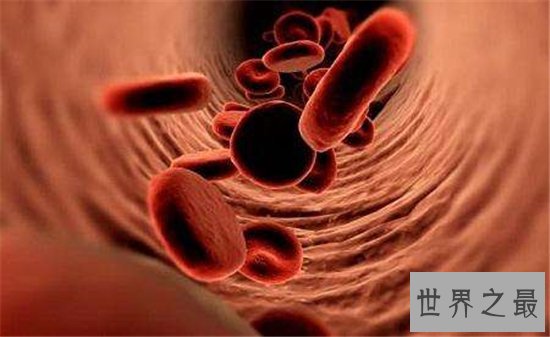 预防头发变白的十种方法,用这十种方法年轻十岁!