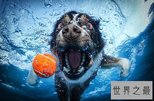 世界十大著名街头艺术作品,班克斯:间谍壁画排第一