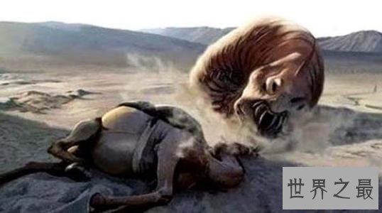 世界十大最恐怖生物,动辄威胁人类生命。