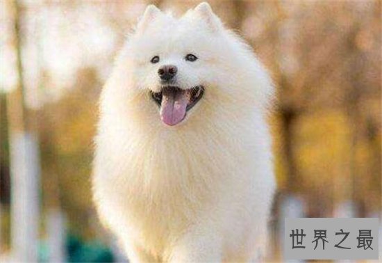 最难破的十项吉尼斯纪录,最难杀死的人枪都打不死!