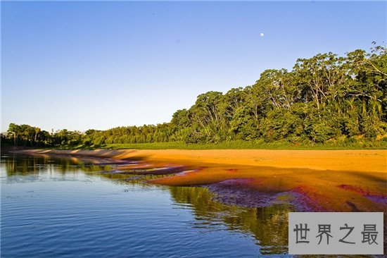 世界野生动物园排名,马迪迪国家公园超好看