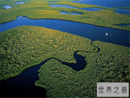 世界野生动物园排名,马迪迪国家公园超好看