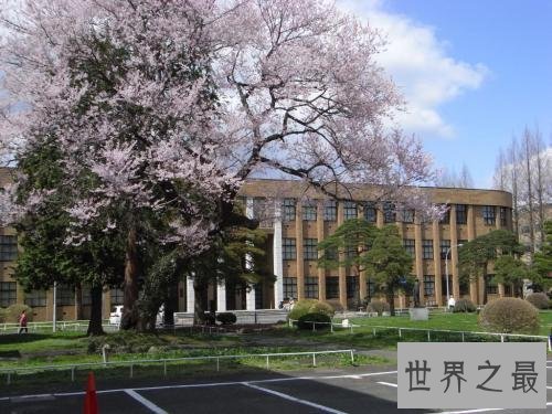 世界十大教育强国,美英中位列前三甲