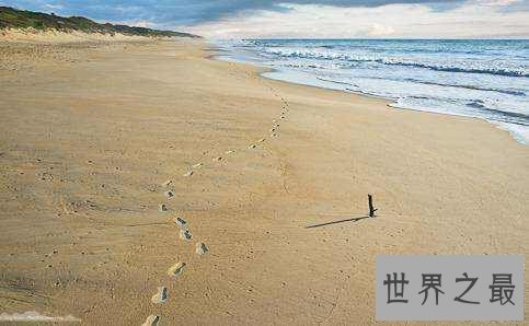 世界十大最长海滩,普腊亚卡西努海滩全长达到132英里!