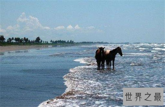 世界十大最长海滩,普腊亚卡西努海滩全长达到132英里!