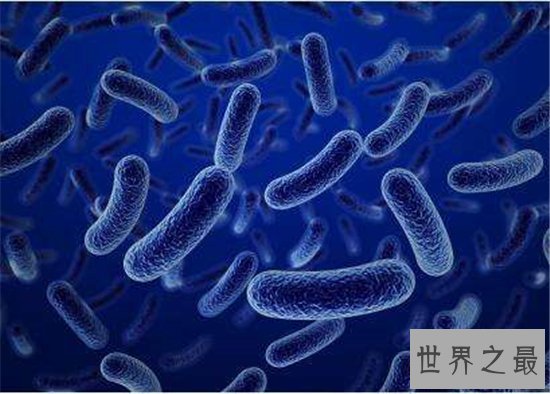 世界上最危险的10种细菌,梅毒高居榜首!