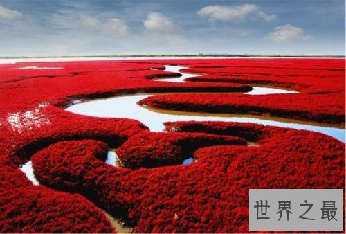 世界上最神奇的10个海滩,大自然的奇妙你想象不到!
