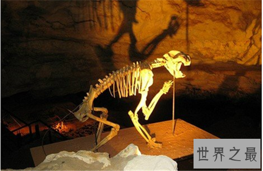 世界上最深的十个洞穴,你敢去挑战吗