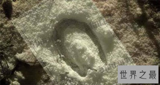 世界十大未解之谜,五万人突然离奇消失的秘密是什么