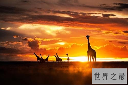 世界最美十大日落,最美的观景之处在印度