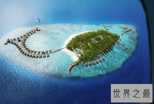 全球入侵物种排名,小龙虾竟然排第八