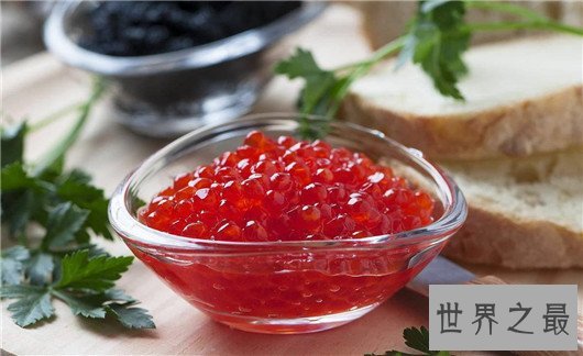 世界十大奇特的蛋,你见过蜗牛蛋吗?