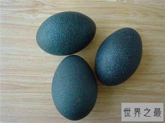 世界十大奇特的蛋,你见过蜗牛蛋吗?