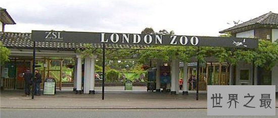 英国十大最受欢迎动动物园,英国哪些动物园最值得去?