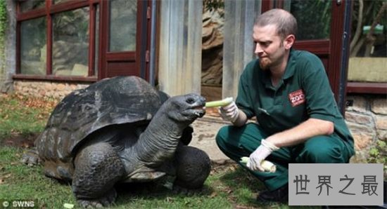 英国十大最受欢迎动动物园,英国哪些动物园最值得去?