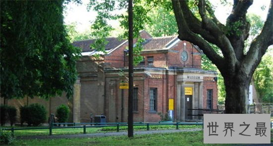 英国十大最受欢迎动动物园,英国哪些动物园最值得去?