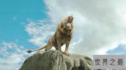 全球十大最好看的魔法电影,它的地位不可撼动!