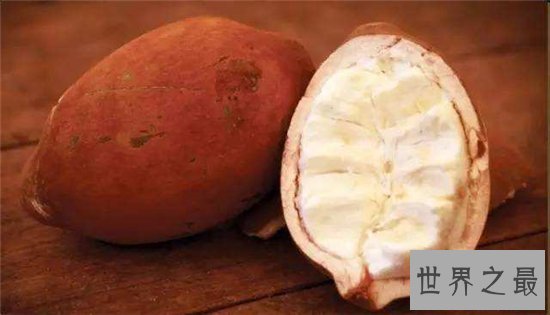 世界上最好吃的十种水果，很多人都没见过这些水果