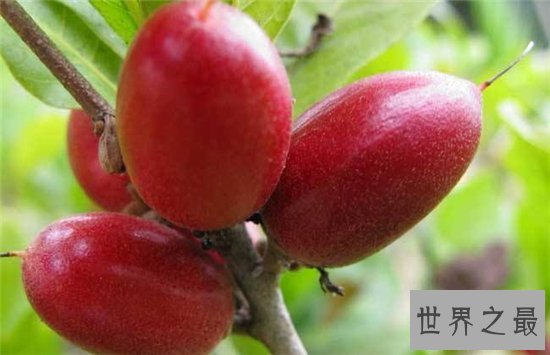 世界上最好吃的十种水果，很多人都没见过这些水果