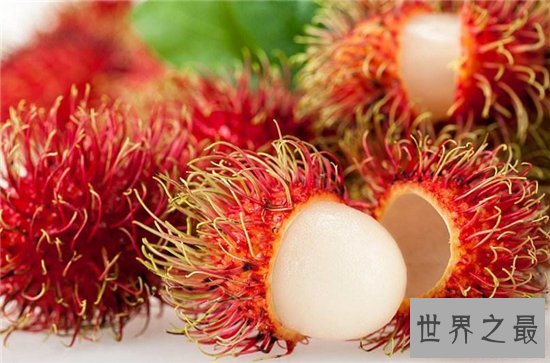 世界上最好吃的十种水果，很多人都没见过这些水果