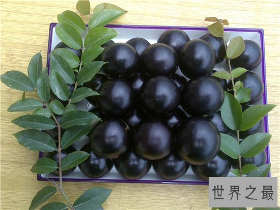 世界上最好吃的十种水果，很多人都没见过这些水果