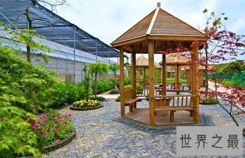 世界十大最美丽的婚礼场地，都是女孩梦想的结婚场地。