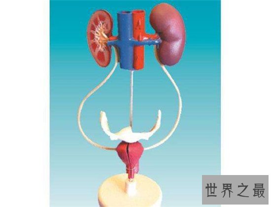 医疗行业中薪水最高的十大人员，薪水最高的竟然是它！