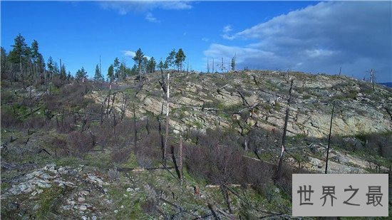 世界十大全球性问题,这难道不是我们自身的原因吗