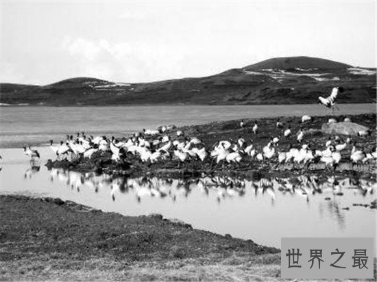 世界十大全球性问题,这难道不是我们自身的原因吗