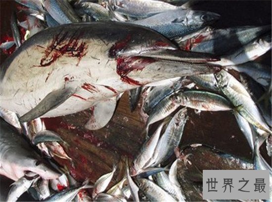 世界十大全球性问题,这难道不是我们自身的原因吗