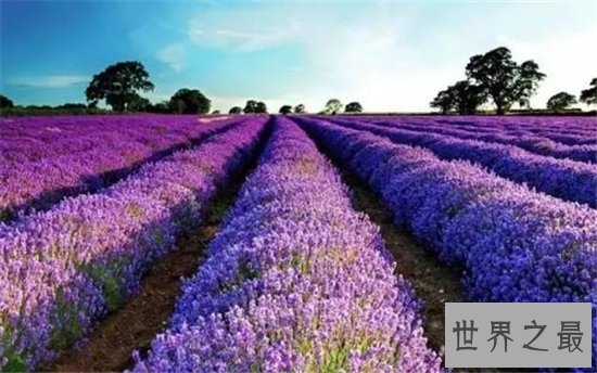 世界最让人惊艳的十大景点，盘点那些令人叹为观止的景点！