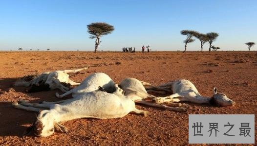 世界上最干旱的十个国家,盘点世界上最缺水的十个国家!