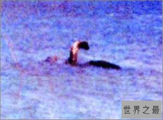 世界十大水怪,长白山天池水怪尼斯湖水怪均上榜!