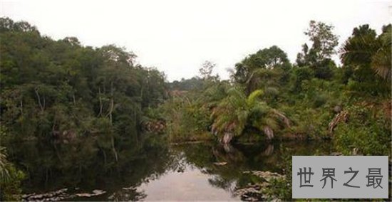 世界十大水怪,长白山天池水怪尼斯湖水怪均上榜!