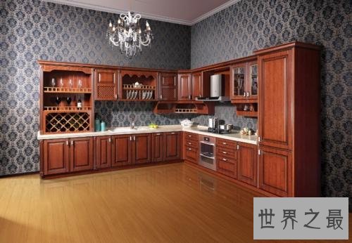 整体橱柜十大排名,整体橱柜哪个牌子好?