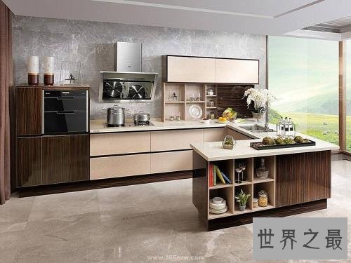 整体橱柜十大排名,整体橱柜哪个牌子好?