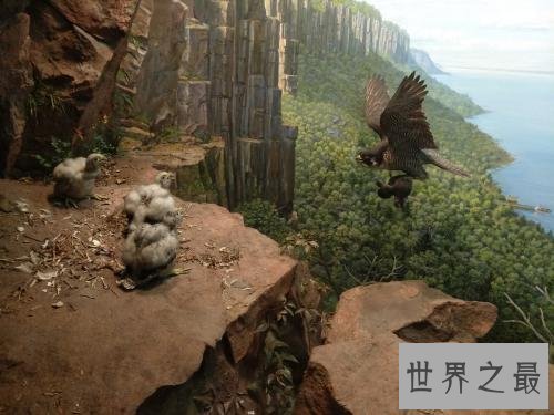 世界十大最好的博物馆排行榜，想纵观历史就来这些地方