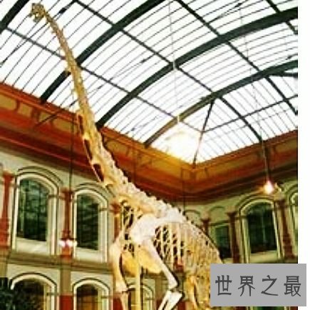 世界上十大著名科学博物馆,每一个都收藏了一个时代。