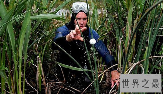 全球十大奇葩的特殊职业,免费吃冰激凌还能赚钱