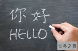 世界上使用最广泛的十种语言，汉语使用者超过15亿（20%都在使用）