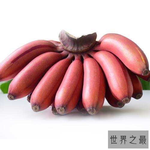 世界十大稀有水果，在中国几乎没有。