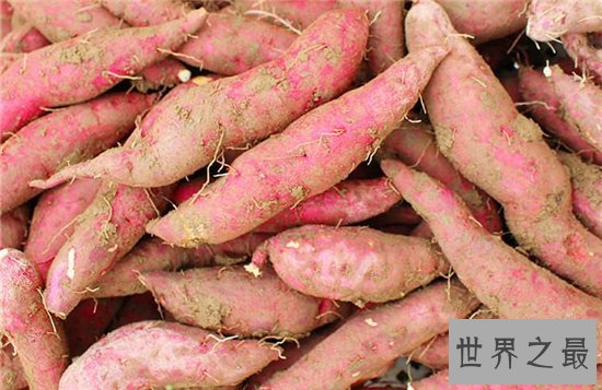 保护眼睛的十大食物，十种对眼睛好的食物大盘点！