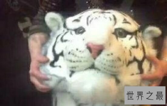 最偏门暴利的10个创业项目排行榜，最好远离这些项目。