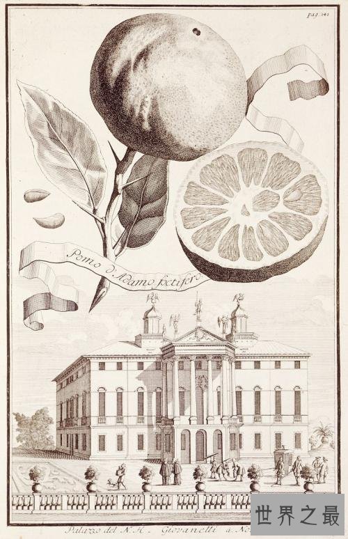 世界十大热门科学杂志一，了解世界了解科学