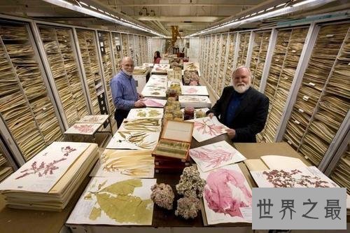 世界十大热门科学杂志一，了解世界了解科学