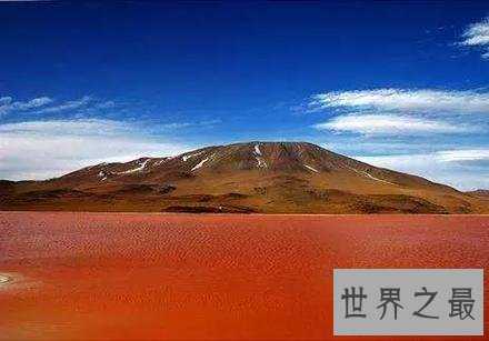 世界十大最奇特的湖泊，少女粉红色的湖你见过没？