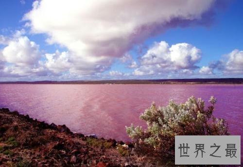 世界十大最奇特的湖泊，少女粉红色的湖你见过没？
